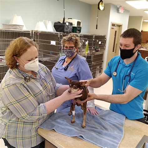 Wolf Run aims to be a full-service animal hospital | News, Sports, Jobs - Williamsport Sun-Gazette