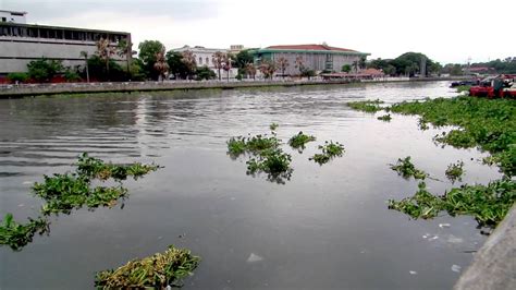 Pasig River at the Foot of Jones Bridge - YouTube