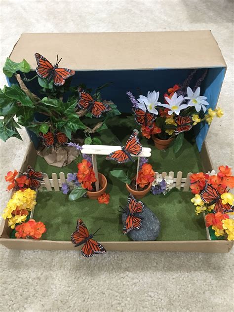 Butterfly diorama | Butterfly habitat, Butterfly project, Butterfly ...