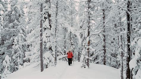 Here’s why Vernon is the best destination in B.C. for fun and relaxing winter activities ...