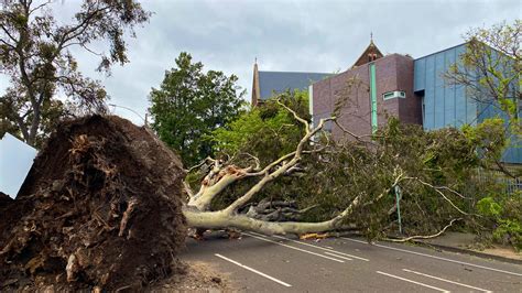 Melbourne Woke Up To Serious Damage After Last Night’s Big Storm