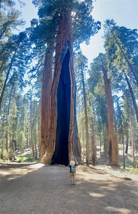 The Best Hikes in Sequoia National Park - ar travel