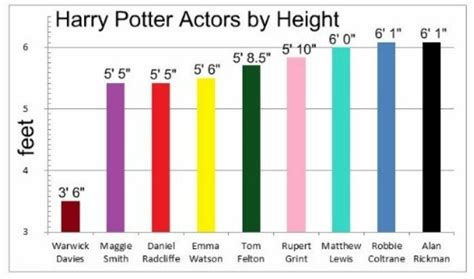 Harry Potter Actors by Height : r/harrypotter