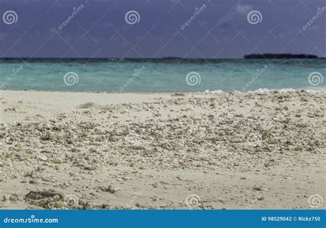 Beautiful Panorama of Beach in Maldives Stock Photo - Image of maldive, holiday: 98529042