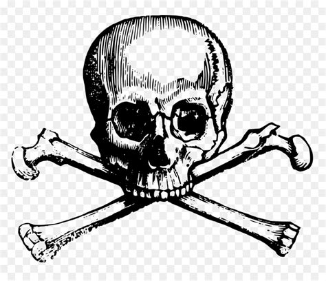 Pirate Skull And Crossbones Png - Clipart Skull And Bones, Transparent ...