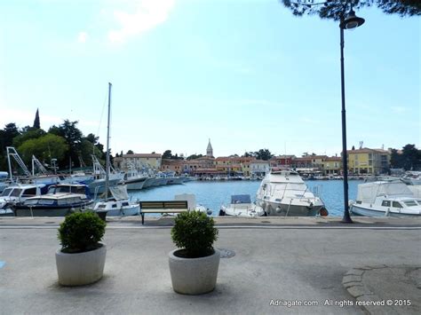 Novigrad - A Hidden Gem on the Croatian Coast