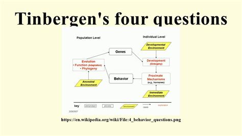 Tinbergen's four questions