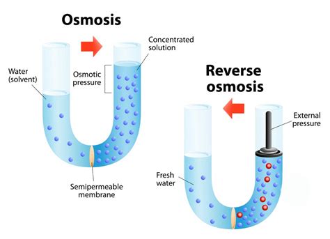 How Do Reverse Osmosis Systems Work? | Water-Right