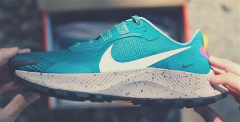 Nike Pegasus Trail 3 Review (2022): Should You Get It?