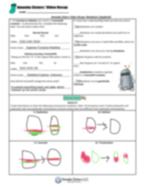 SOLUTION: Mutations updated recap by amoeba sisters - Studypool