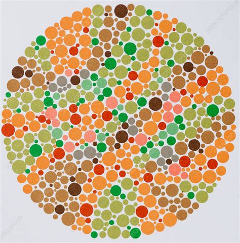 Test Color Palette For Color Blindness, Color Blindness Chart (With Images) | Colour Blindness ...