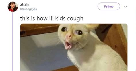 coughing cat meme gif - Thanh Mccreary