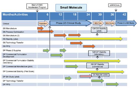 Drug Development Process Timeline