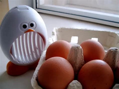 My Favorite Kitchen Gadget: The Egg Slicer | Food and Cooking Guide