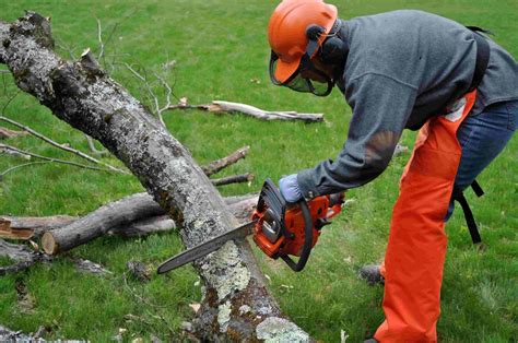 Chainsaw Safety: The Perfect Guide of It - Live Enhanced