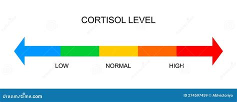 Cortisol Meter Horizontal Scale. Body Stress Response Levels Chart from Low To High Isolated on ...