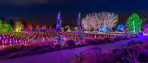 Blossoms of Light – Improving the Visitor Experience | Denver Botanic ...