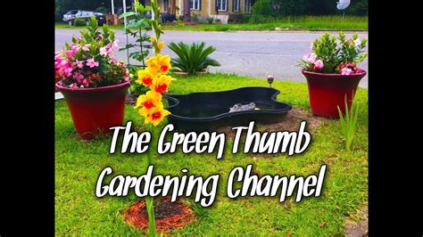 Welcome To The Green Thumb Gardening Channel - YouTube