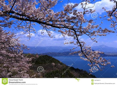 Biwa Lake and cherry stock image. Image of japan, blossom - 100760211