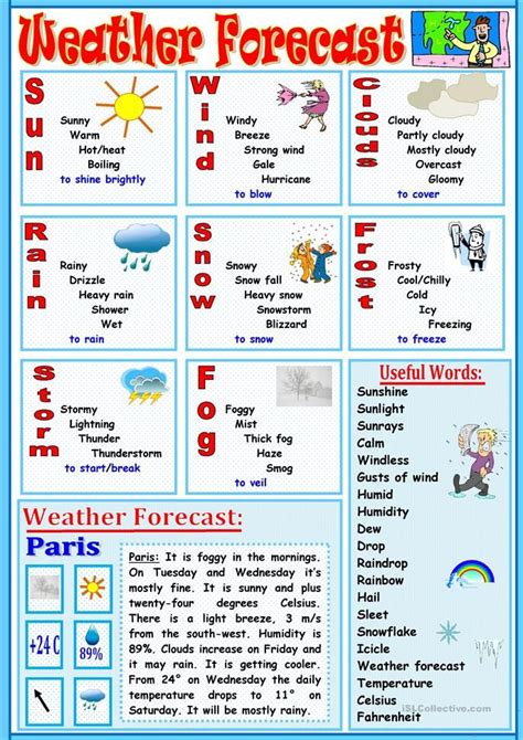 Weather Forecast Activity Sheets