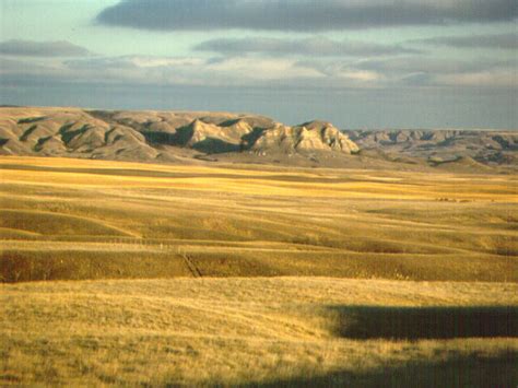 The interior plains - THE REGIONS OF CANADA