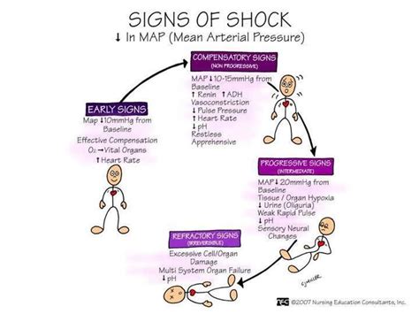 Signs Of Shock Mean Arterial Pressure (MAP Shock) - Health Insurance ...