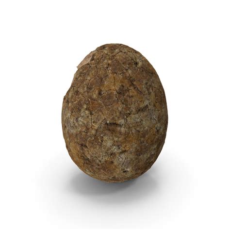 Dinosaur Egg Ancient Stone PNG Images & PSDs for Download | PixelSquid ...