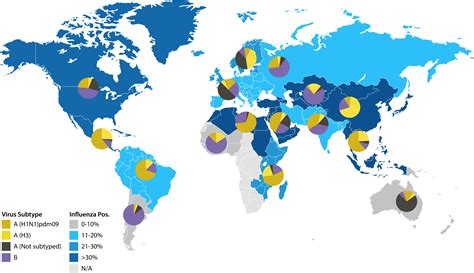 The Yearly Race for an Influenza Vaccine and the Role of Reagents - The ...