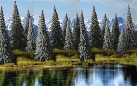 SPRUCE TREES | grandcentralgems