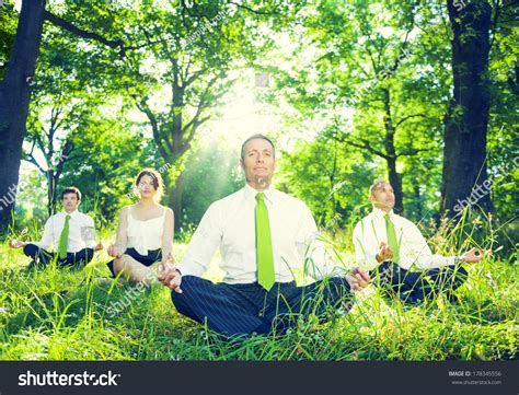 Environmentalist Business People Meditating In Nature Stock Photo ...