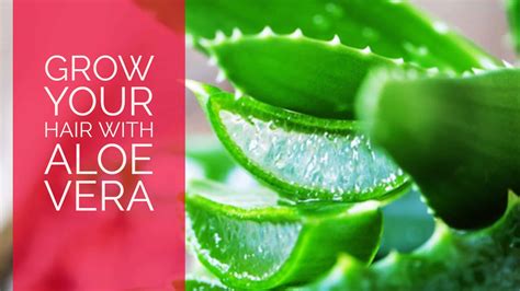 How to Grow your Hair with Aloe Vera