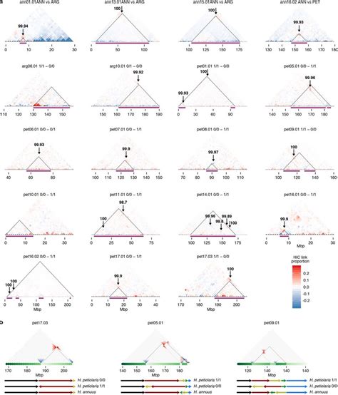 HiC comparisons identify SVs associated with most, but not all,... | Download Scientific Diagram