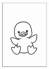 Bath Time Adventures Printable Rubber Duck Coloring Pages For Kids sketch template