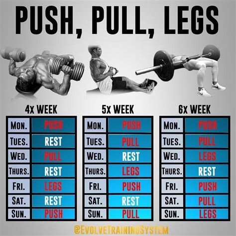 The push/pull/legs split ( PPL) are one of the most simple and proven ...