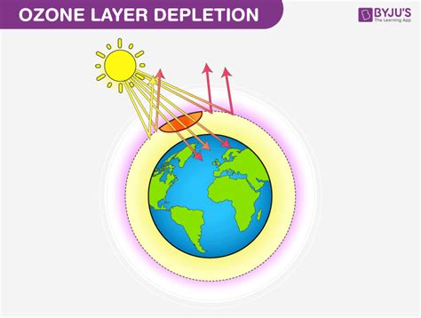 Harmful Effects Of Ozone Layer Depletion