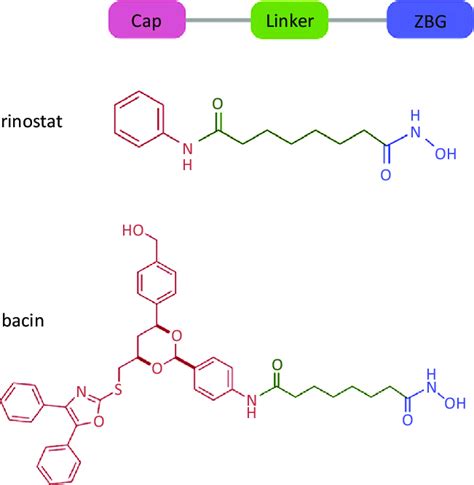 Structures of the Pan-Histone Deacetylase (Pan-HDAC) Inhibitor ...