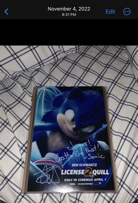 Ben schwartz as sonic the hedgehog from the movies by wastelanderJG on DeviantArt