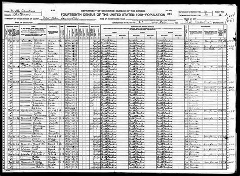 1920 Census