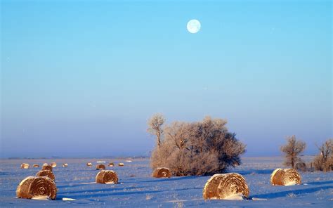 Winter Solstice Saskatchewan Sunrise: SterlingBjorndahl: Galleries: Digital Photography Review ...