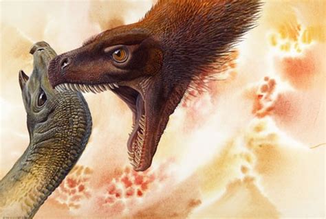 Atrociraptor Pictures & Facts - The Dinosaur Database