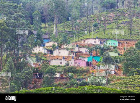 traditional village on Sri Lanka Stock Photo - Alamy