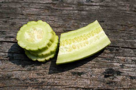 Armenian Cucumbers: The Best Cultivation Instructions for Your Garden ...