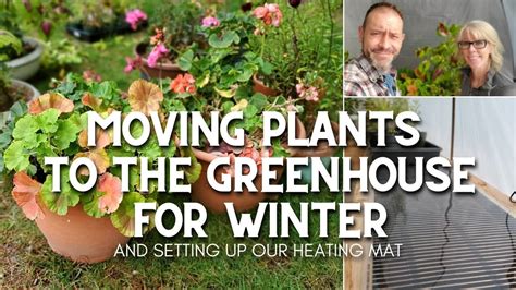 🌿 Moving Plants Into the Greenhouse for Winter 🌿 - YouTube