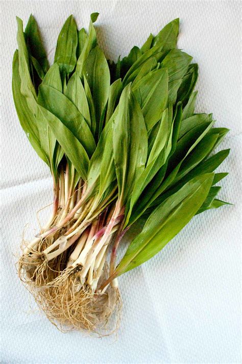 Ramps Recipe - Sweet and Sour Ramps or Pearl Onions | Hank Shaw