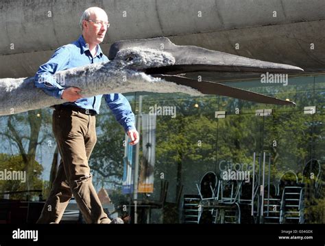 Ulster dinosaurs hli hi-res stock photography and images - Alamy