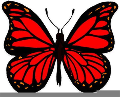 Free Animated Clipart Butterfly | Free Images at Clker.com - vector ...