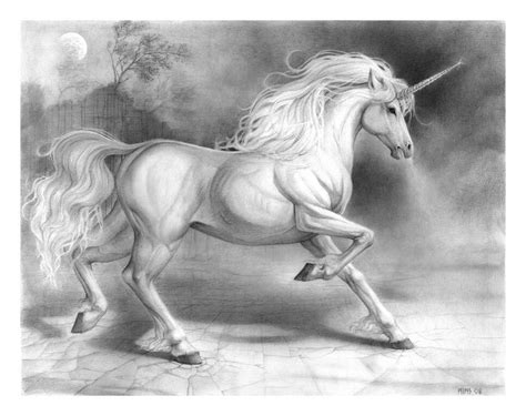 Unicorn in pencil | Zeichnungen tiere, Pferdekunst, Einhorn bilder