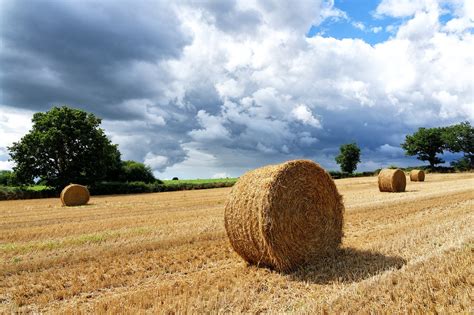 Straw Agriculture Field - Free photo on Pixabay