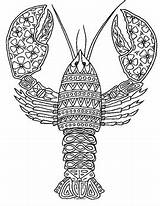 Lobster coloring Sheet  TPT sketch template