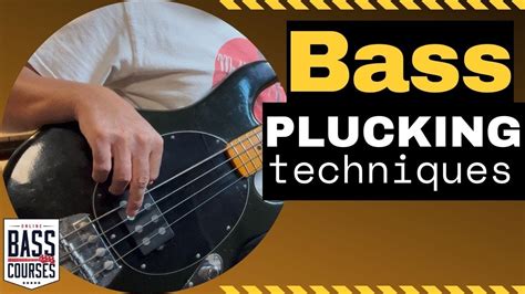 Bass Guitar Plucking Techniques Chords - Chordify